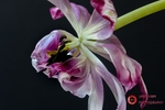 190422-untitled-1L4A0989