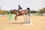 SBM_002174