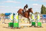 SBM_007485