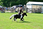 SBM_03434