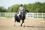 SBM_010295