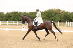 SBM_006323