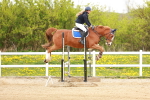 SBM_005573