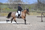 BPP_9445