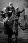Appleby 031
