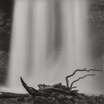 Waterfall and fallen trees, Henryd Falls, Brecon Beacons, Wales, 2014