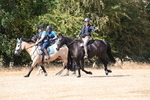 WJ6_9052