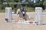 BPP_1401