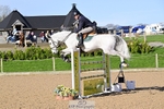 Cls 17 National 1.30m Open portfolio