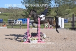 BPP_0552