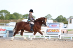 SBM_16783