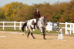 SBM_010434