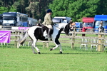 SBM_11424