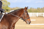 SBM_002820