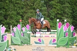 232-MAYFAIR_TN-Susie_Berry portfolio
