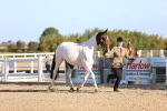 SBM_08334