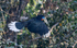 Rufous-necked Hornbill female