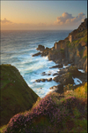 Botallack Summer