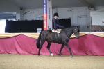 SBM_09241