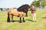 SBM_00863