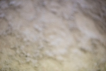 SBM_008819
