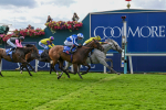 Race 1 1.50pm Sky Bet Handicap portfolio
