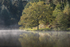 Misty Mallards Pike - 1