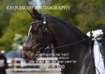 BPP_6300