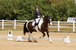 SBM_000440
