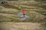 Sedbergh Hills-559