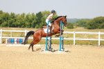 SBM_000489