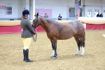SBM_00458
