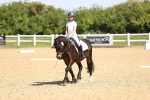 SBM_008232