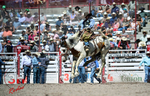 3HRodeo_CFD_JUL_18_2026_03780