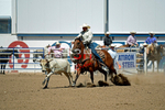 3HRodeo8-11-25_PRCASteer_06716_