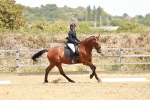 SBM_003603