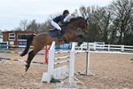 Cls 13 Foxhunter and 1.20m Open portfolio