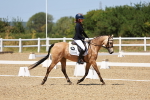 SBM_011620