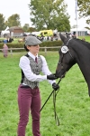 S46 - Part Bred Arab & Native Pony In Hand portfolio
