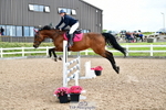 Cls 21 British Novice and 90cm Open portfolio