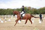 SBM_005596