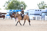 SBM_17252