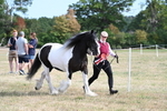 WJ7_8104