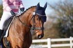 121-Ella.Weeks-Plough.On portfolio