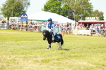 SBM_16720