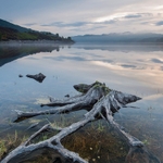 Glen Affric Tones