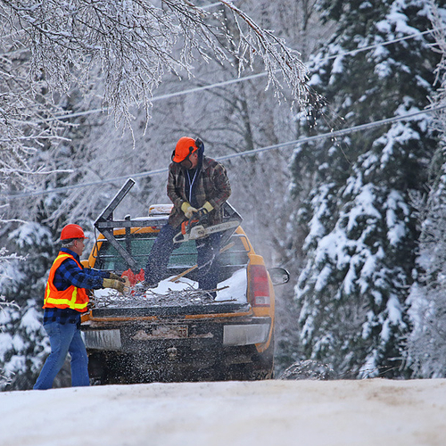 Provincial employees clean up encroaching limbs along secondary roads.
