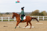 SBM_002324