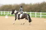SBM_000178