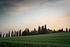 Dusk in Val d'Orcia